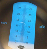 BX-1 Scale